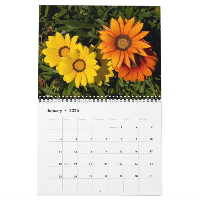 Calendrier P4079331-LR-1, fleurs du sud-ouest, 2008 (Jan 2026)