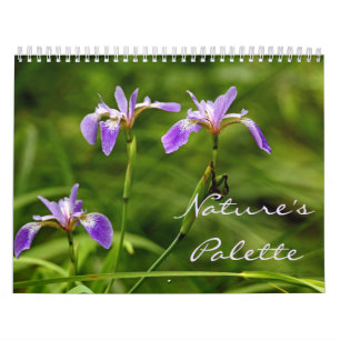 Calendrier - Palette de la nature
