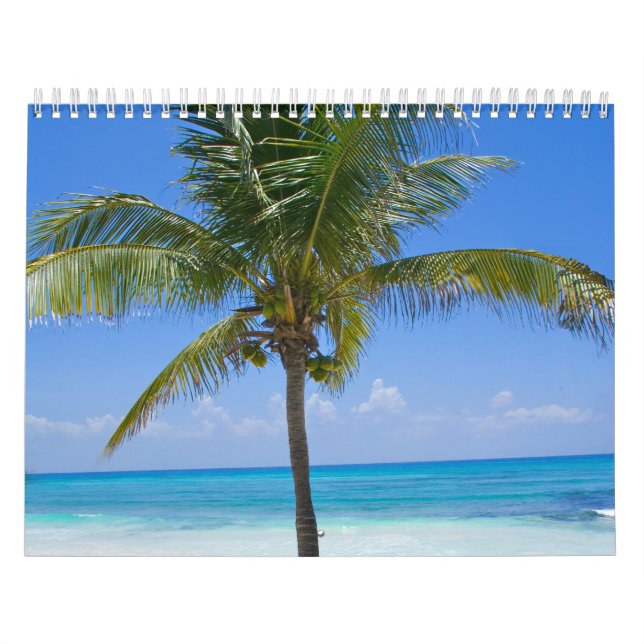 Calendrier Palmier des Bahamas (Protection)