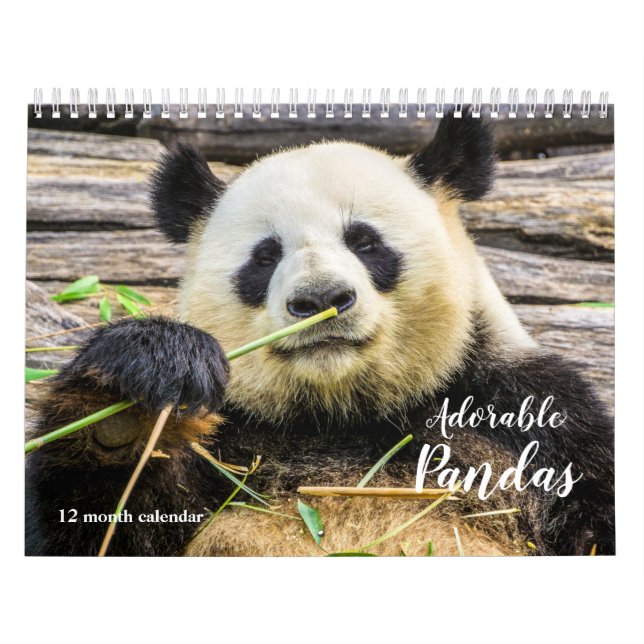 Calendrier Pandas adorables 2026 (Protection)