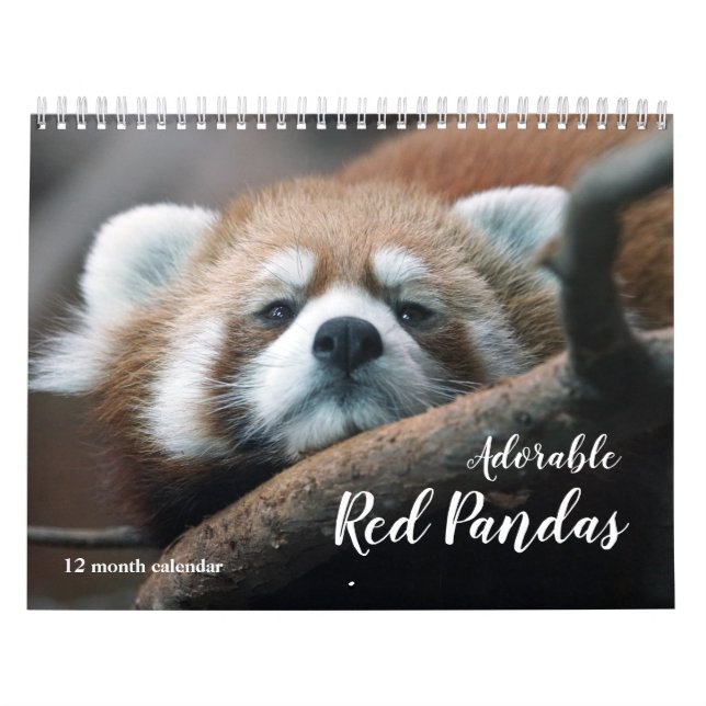 Calendrier Pandas rouges adorables 2026 (Protection)