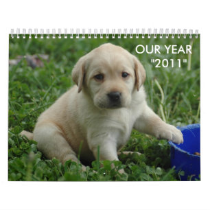 Calendrier papier peint à puppy-lab-HD, NOTRE ANNÉE    "201