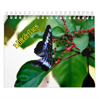 Calendrier Papillon