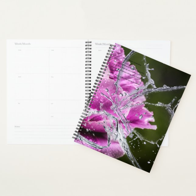 Calendrier papillon (Devant avec enveloppe)