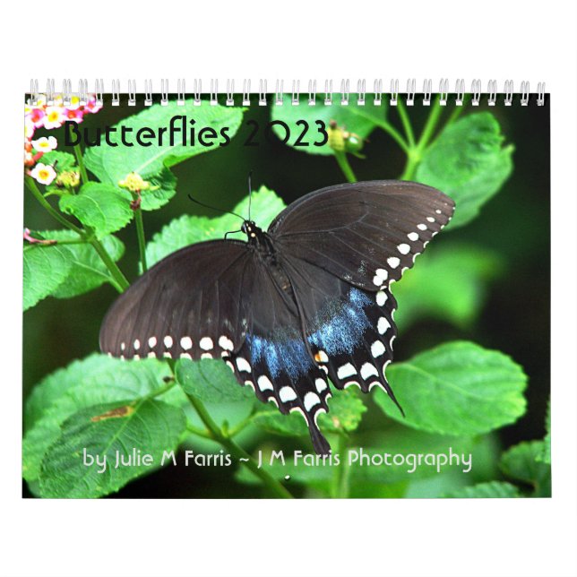 Calendrier papillon 2023 (Protection)