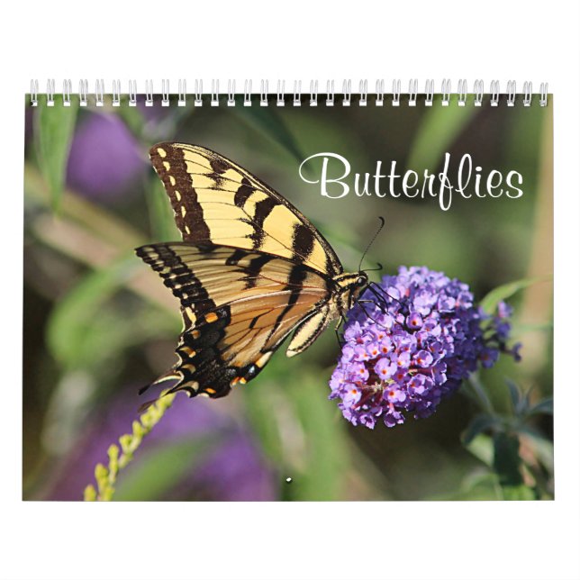 Calendrier Papillons (Protection)