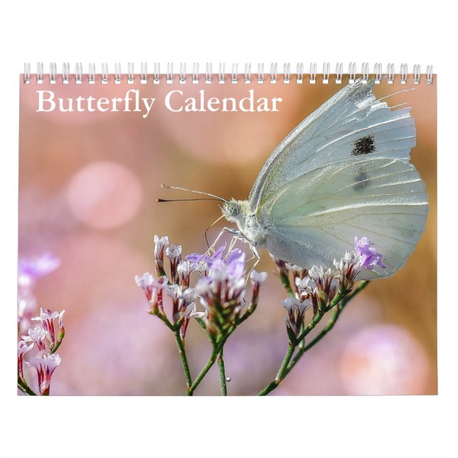 Calendrier Papillons 2024 (Protection)