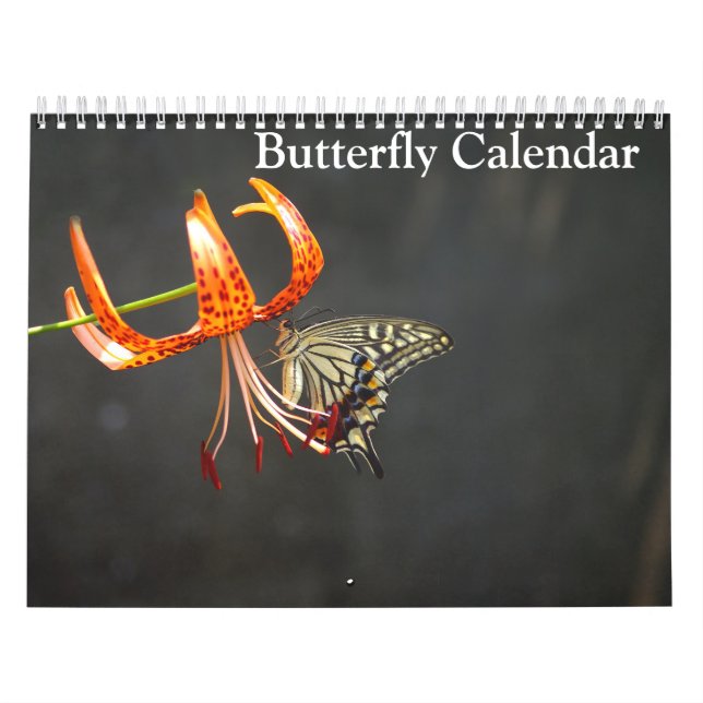 Calendrier Papillons 2025 (Protection)