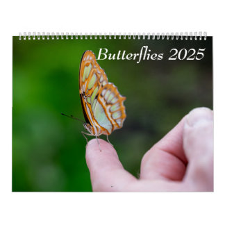 Calendrier Papillons 2025