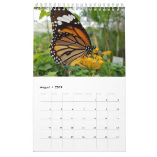 Calendrier Papillons de la Thaïlande