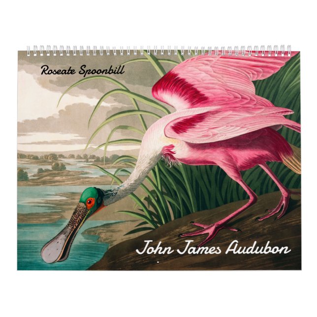 Calendrier par John James Audubon (Protection)