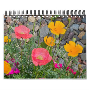 Calendrier Parade des crapauds