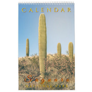 Calendrier Parc national du Saguaro Paysages floraux