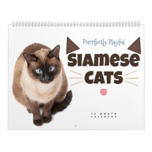 Calendrier Parfaitement Joué : Chats Siamais