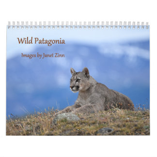 Calendrier Patagonie sauvage : Pumas et faune