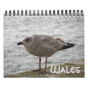 Calendrier Pays de Galles 2022 Calendar