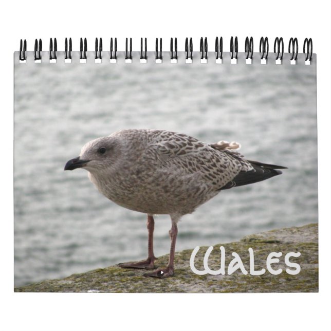 Calendrier Pays de Galles 2022 Calendar (Protection)