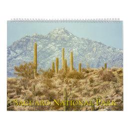 Calendrier Paysage du parc national de Saguaro
