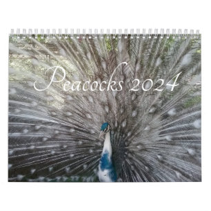 Calendrier Peacock 2024