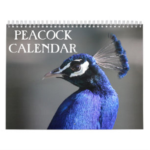 Calendrier Peacock 2025