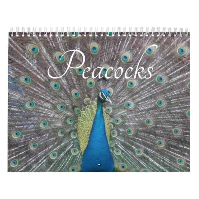 Calendrier Peacock Calendar (Protection)