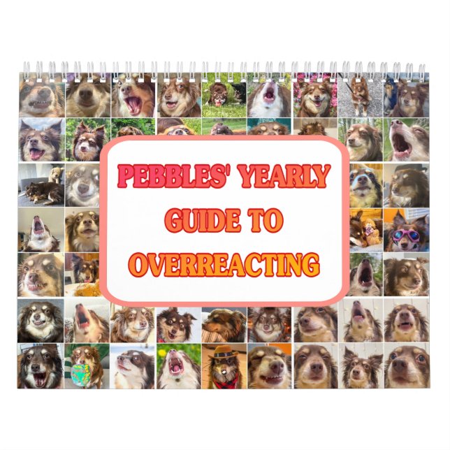 Calendrier Pebbles' Calendar (Protection)