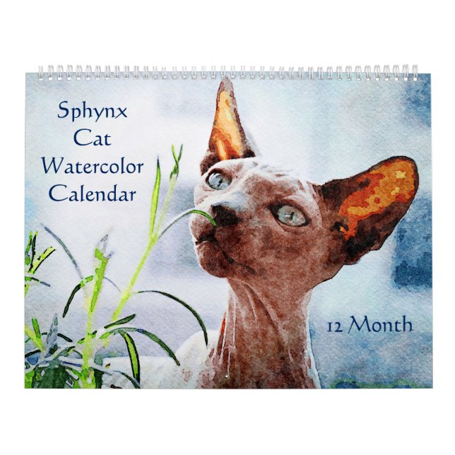 Calendrier Peintures aquarelles 12 mois sans cheveux Sphynx C (Protection)
