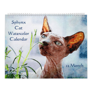 Calendrier Peintures aquarelles 12 mois sans cheveux Sphynx C