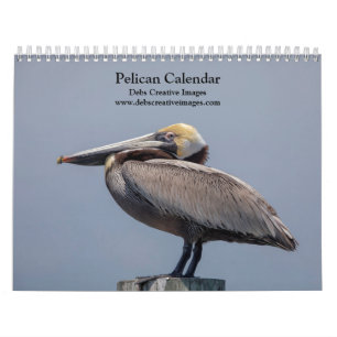 Calendrier pélican 2025