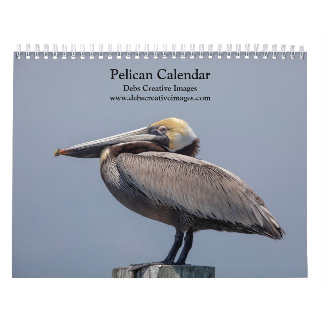 Calendrier pélican 2026 (Protection)