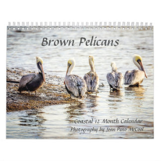 Calendrier pélican Brown
