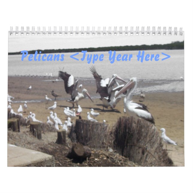 Calendrier Pélicans (Protection)
