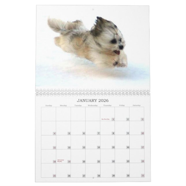 Calendrier Peluito Havanais. 2011 (Jan 2026)