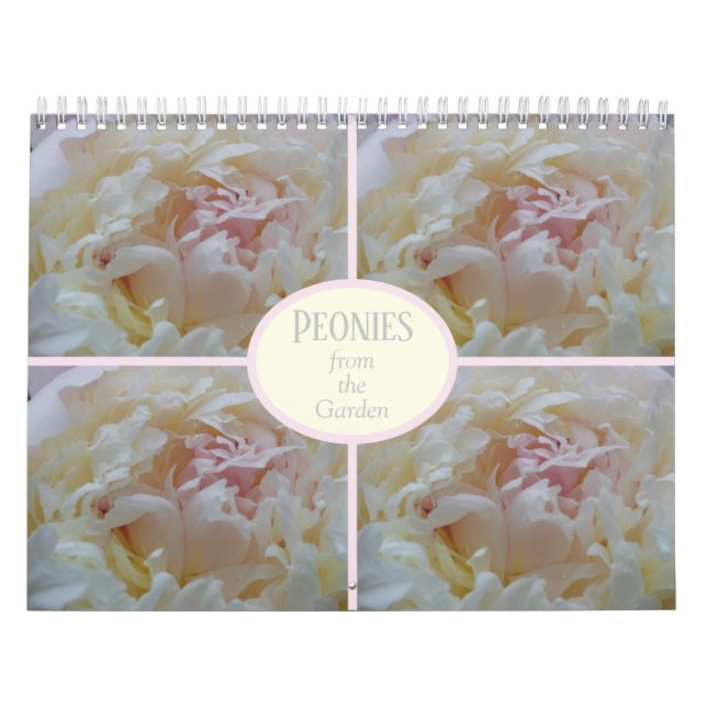 Calendrier Peonies de mon jardin (Protection)