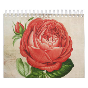 Calendrier Perpétuel hybride rouge vintage, Paul Neyron s'es