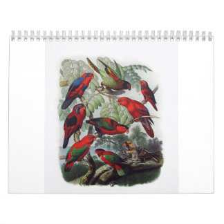 Calendrier perroquet, collection d'oiseau