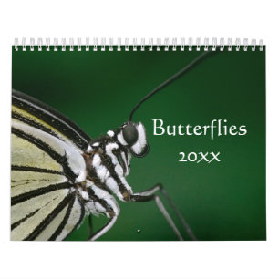 Calendrier personnalisable Papillons