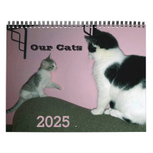 Calendrier personnalisé de nos chats