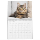 Calendrier personnalisé des photos de chats