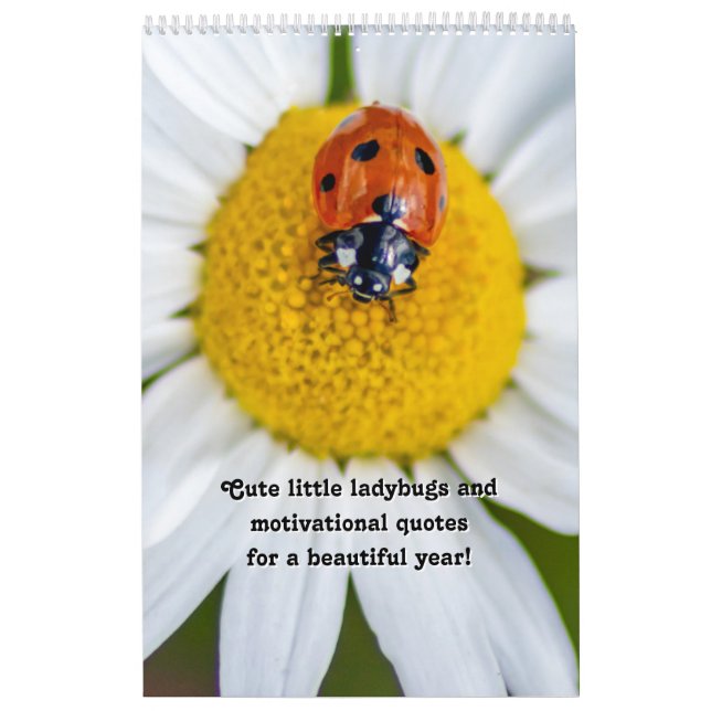 Calendrier Petits coccinelles et citations de motivation (Protection)