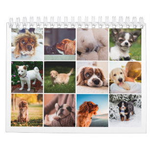 Calendrier Photo 2021 Puppy Dog Pet