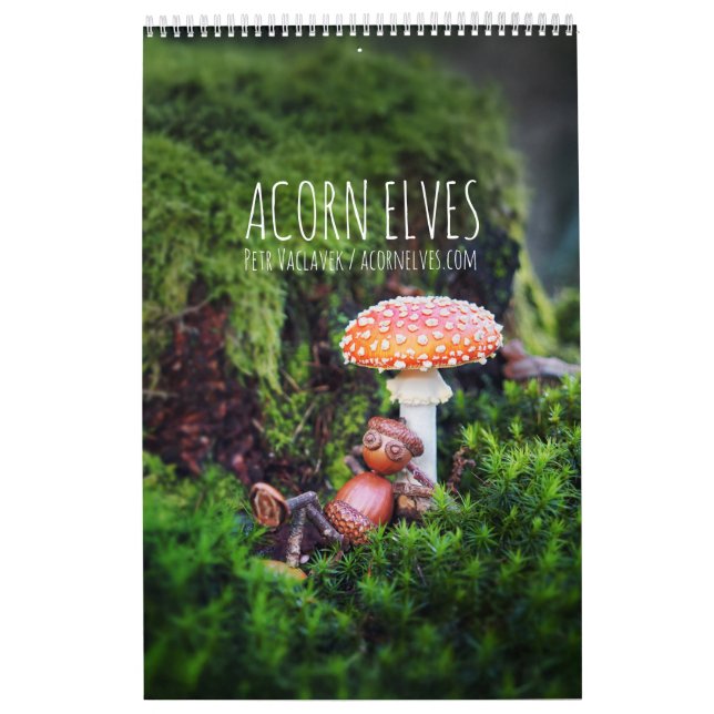 Calendrier photo Acorn Elves / Dubanci (Protection)