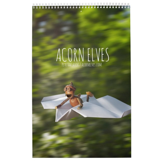 Calendrier photo Acorn Elves / Dubanci (Protection)