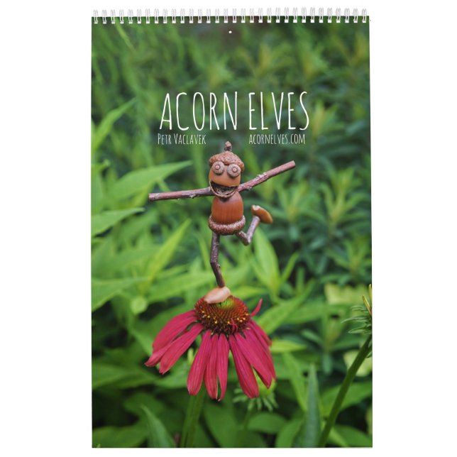 Calendrier photo Acorn Elves / Dubanci (Protection)