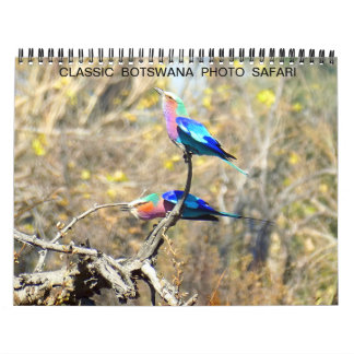 CALENDRIER PHOTO CLASSIQUE BOTSWANA SAFARI