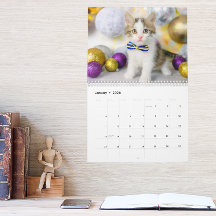 Photo de chat mignon C'est la vie de chat 2026