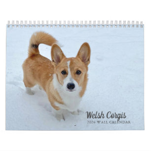 Calendrier Photo de Chien Corgi gallois mignon 2026 Mur