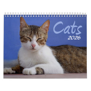 Calendrier photo des chats 2025