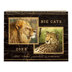 Calendrier photo des magnifiques Big Cats