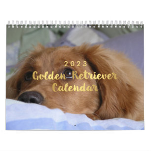 Calendrier Photo Golden Retriever Calendar 2023